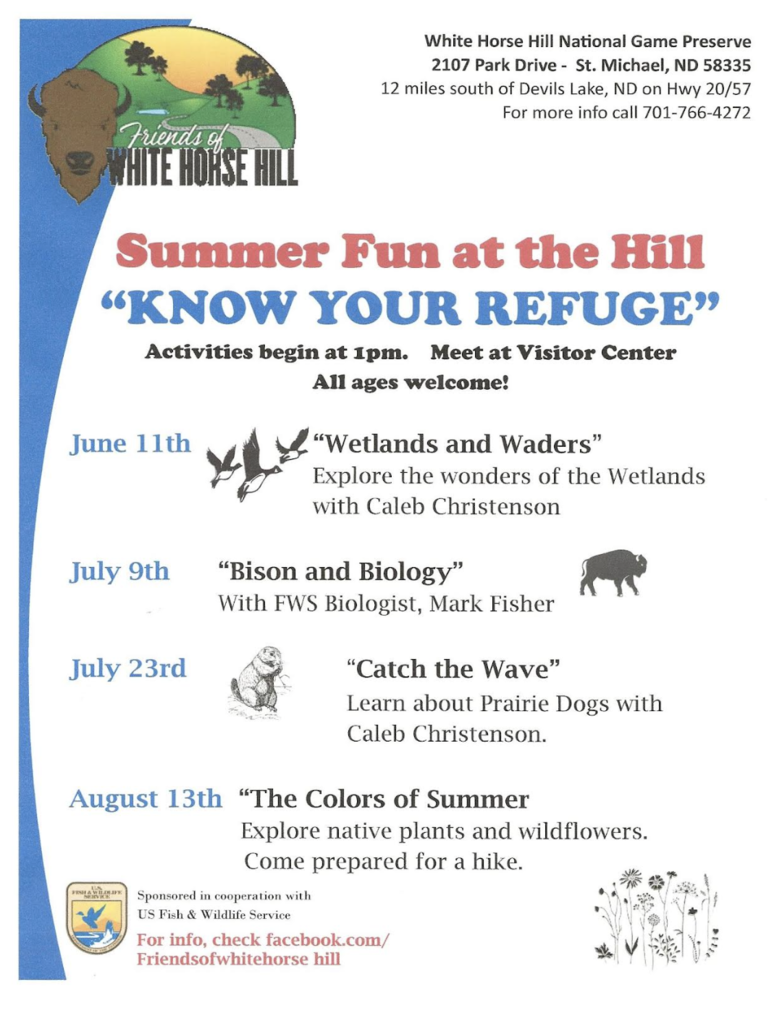 Summer Learning